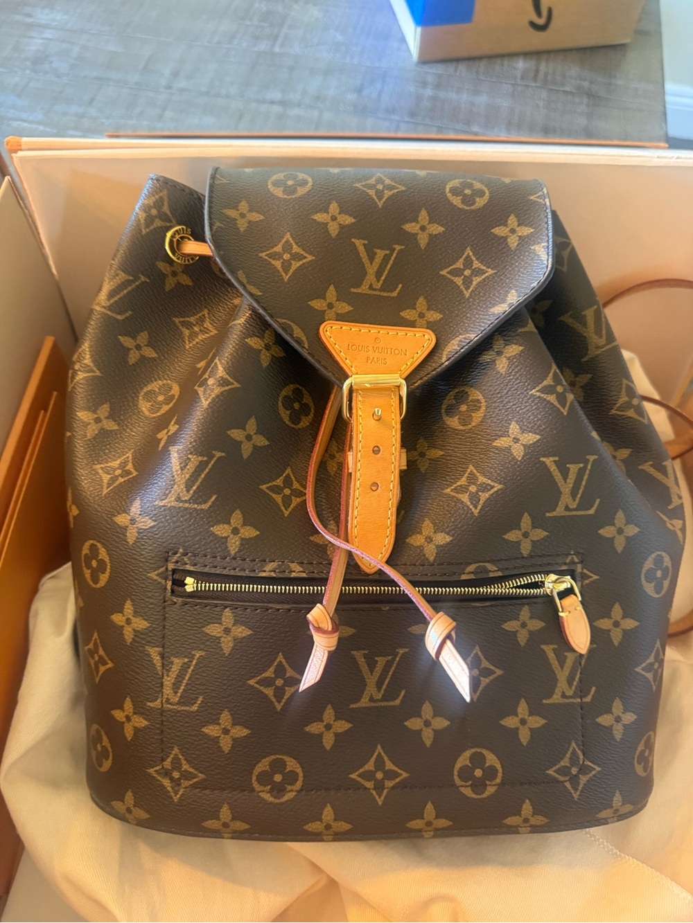Louis Vuitton Monogram Montsouris NM backpack